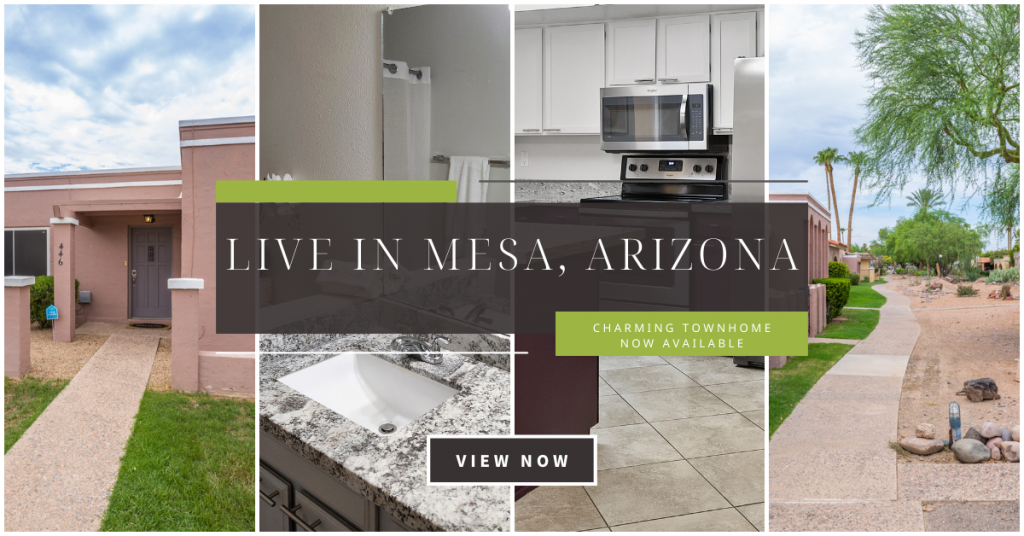 446 N Hobson Plaza Mesa AZ 85203 for Sale