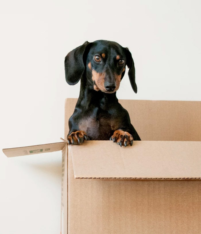 Housewarming gifts people want